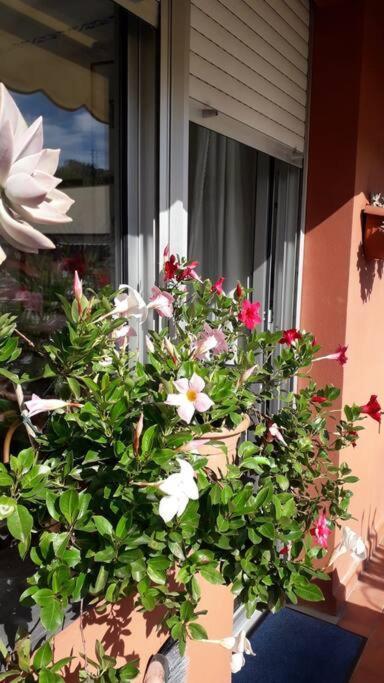 La Casa Di Teri A Chiavari Exterior photo